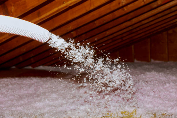Best DIY Insulation Kits and Guidance in Lino Lakes, MN